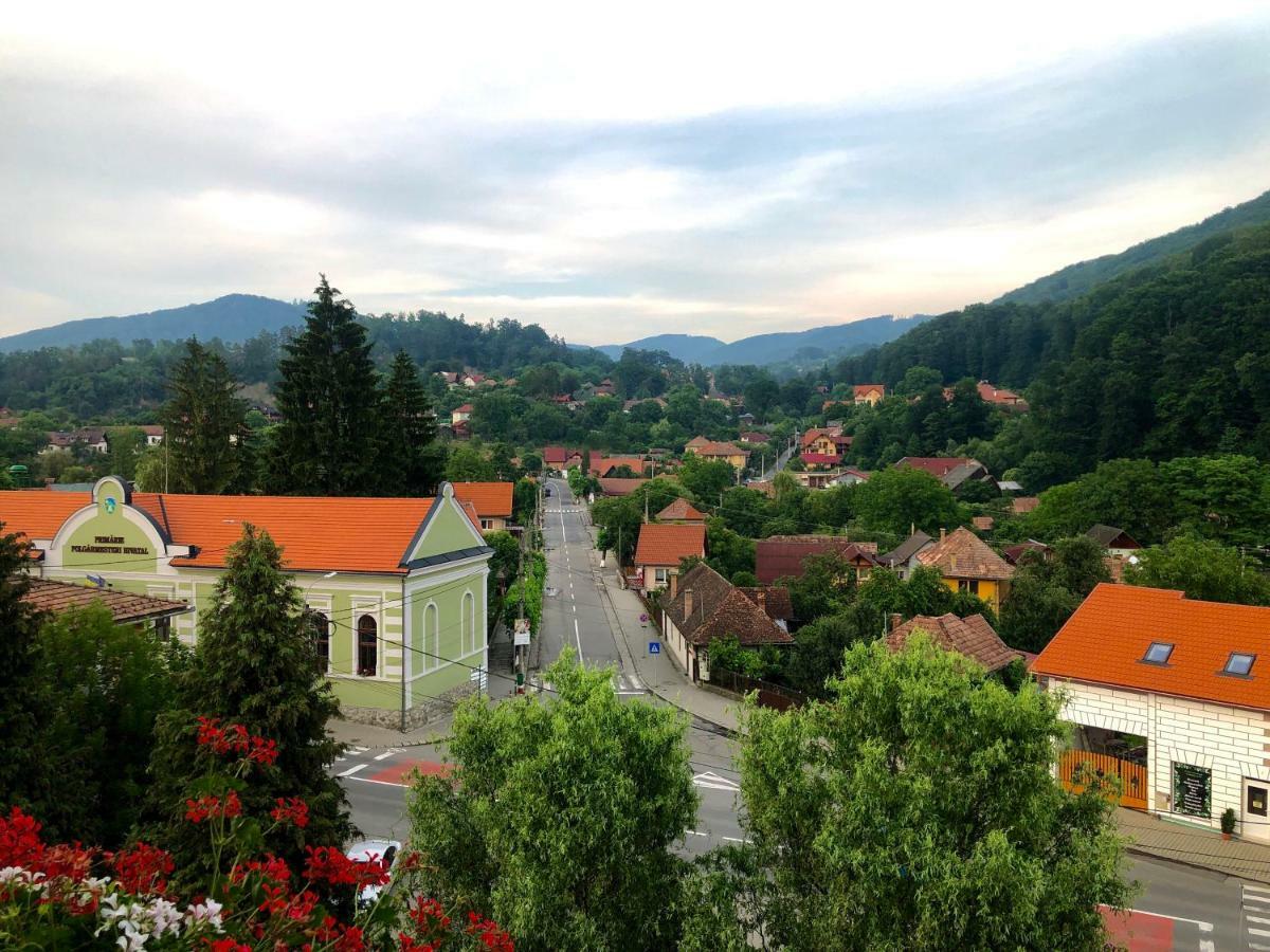 Vila Ursul Negru Sovata Buitenkant foto